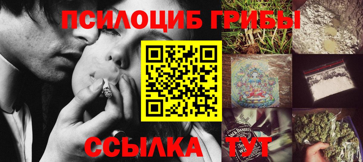 Красноярск  Псилоцибиновые грибы Magic Shrooms  что такое наркотик  Вход с VPN  Псилоцибиновые грибы Psilocybe 